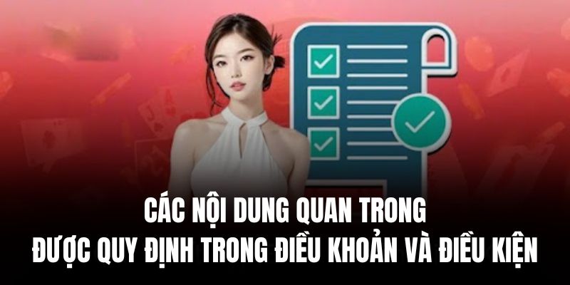 Thanh toán là một trong các nội dung điển hình của điều khoản và điều kiện